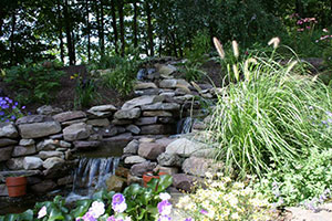 Photo Gallery